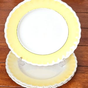 Vintage WH Grindley Cream Petal Yellow Border Dinner Plates 27cm Set of 3