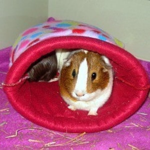 Puede incluir: Dos conejillos de indias en un saco de dormir de forro polar rojo y rosa con estampado de corazones. Los conejillos de indias son marrones y blancos.