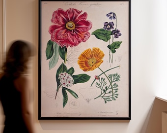 Könnte beinhalten: Ein gerahmter botanischer Druck mit detaillierten Illustrationen verschiedener Blumen. Der Druck zeigt eine große rote Pfingstrose, einen orangefarbenen Mohn und violette Veilchen, mit dem Text "British Flower garden" oben. Das Kunstwerk ist in einem schwarzen Rahmen.