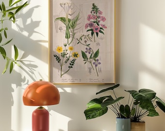 Könnte beinhalten: Ein gerahmter botanischer Druck mit dem Text "British Flower Garden" hängt über einer rot-goldenen Tischlampe. Der Druck zeigt detaillierte Illustrationen verschiedener Blumen. Zwei Topfpflanzen stehen auf dem Tisch und verleihen der Szene einen Hauch von Grün.