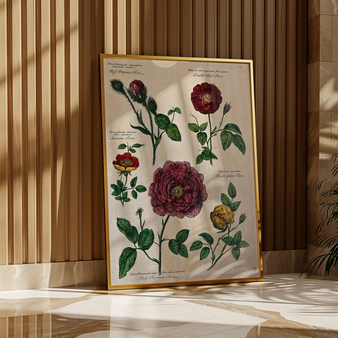 Botanical Print Vintage Rose Illustration – Antique Floral Poster ...