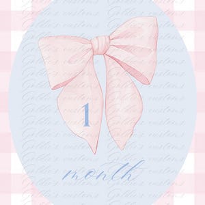 Baby Meilensteinkarten