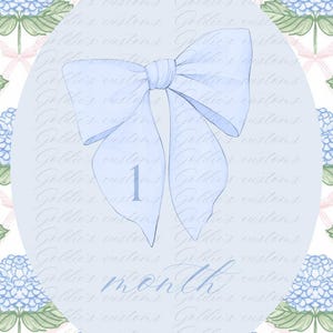 Baby Meilensteinkarten