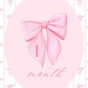 Baby Meilensteinkarten