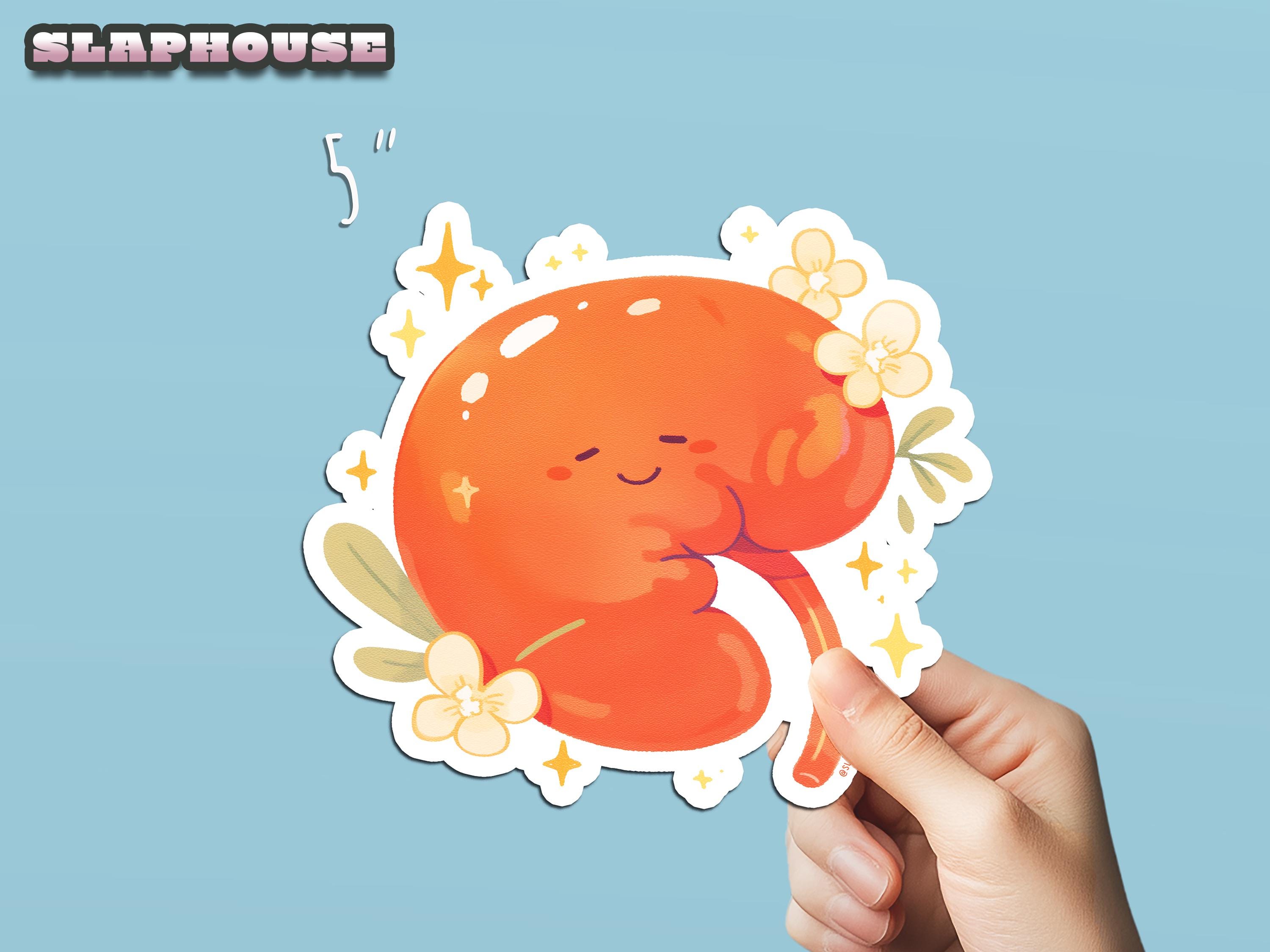 Kidney Sticker, Cute Stickers, Support Kids, Laptop Stickers, Water ...