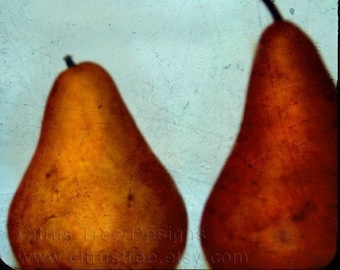 PERFECT PAIR - TtV Original Fine Art Photography Print - Giclee, Gift, Fruit, Pear, Pears, Dessert, Kitchen Wall Art