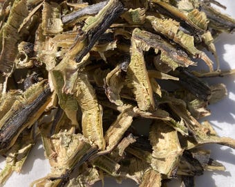 Ocotillo bark - bulk, dried, sustainably wildcrafted from the Sonoran Desert