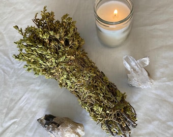 Desert Rain Creosote (Chaparral) Bundle - Freshly Gathered Shower Herb, Smudge Wand