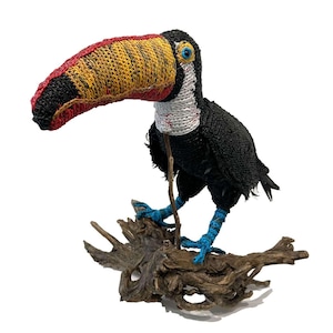 The Narfs: Toco Toucan