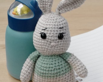 Amigurumi Cute Rabbit Wearing Turquoise Shirt