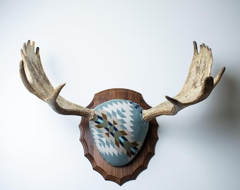 Moose Antler Mount – Premium Brown Antlers Wrapped in Pendleton® Rancho Arroyo Style Wool for Rustic Western Cabin Wall Decor