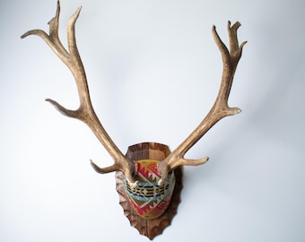 Elk Antler Mount – Premium Brown Antlers Wrapped in Red Pendleton® Wool Jacquard Fabric for Rustic Ranch & Western Home Decor