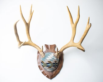 Deer Antler Mount – Large Mule Deer in Blue & White Pendleton® Wool, Southwestern Decor for Mountain Homes