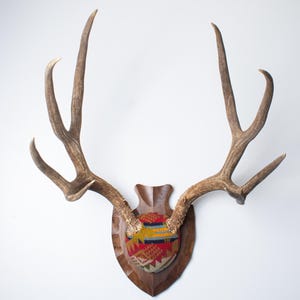 Deer Antler Mount – Extra- Large Mule Deer Wrapped in Red Pendleton® Wool Jacquard, Western Wall Decor