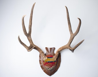Deer Antler Mount – Extra- Large Mule Deer Wrapped in Red Pendleton® Wool Jacquard, Western Wall Decor