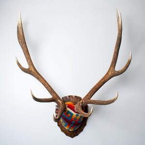 Peut inclure: Une paire de grands bois de cerf bruns texturés montés sur une plaque en bois. La base des bois est recouverte d'un tissu vibrant et multicolore présentant un motif géométrique dans des tons de rouge, orange, jaune, bleu et blanc.