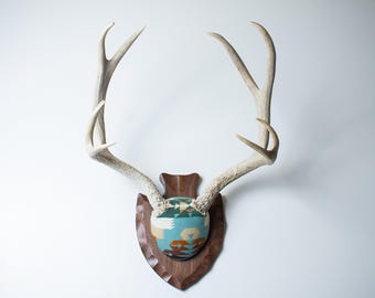 Deer Antler Mount – Weathered White Antlers Wrapped in Pendleton® Wool, Western Wall Art or Rustic Luxe Decor