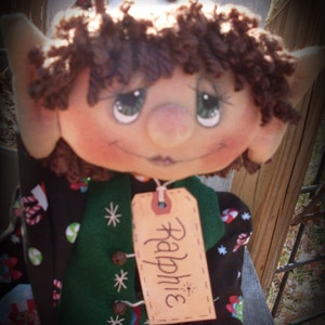 Pu&ograve; includere: Una bambola di elfo fatta a mano con capelli in lana marrone, un gilet verde e un'etichetta con il nome "Raphine".