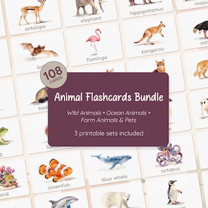 Può includere: Un set di 108 flashcard sugli animali con illustrazioni ad acquerello di varie creature tra cui un camaleonte, un elefante, un fenicottero e una balena. Il riquadro centrale viola scuro riporta il testo Animal Flashcards Bundle.