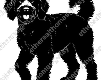 Digital Image of an aussie doodle