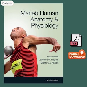 May include: A textbook titled Marieb Human Anatomy & Physiology, Twelfth Edition, featuring an athlete in a red and black striped tank top throwing a shot put. The cover includes the names Katja Hoehn, Lawrence W. Haynes, and Matthew A. Abbott.