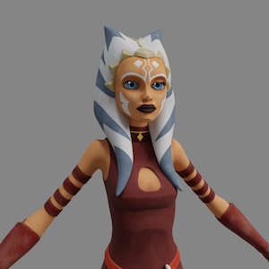 Ahsoka Padawan Rig