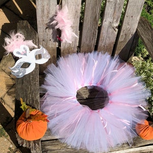 Fantasia de princesa cisne tutu para Halloween ou vestir 2T-4T pronta para enviar