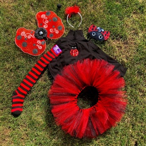 May include: A ladybug costume for kids includes a black tulle tutu, a black long-sleeved shirt with a ladybug design, a pair of black and red striped leg warmers, a ladybug headband, and a ladybug wing set.