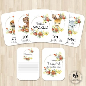 Cartes bébé étape importante | jeu de 40 cartes | Accessoires photo | Cartes d'étape | Cadeau baby shower | Nouveau cadeau de bébé | Animaux australiens | Fleurs