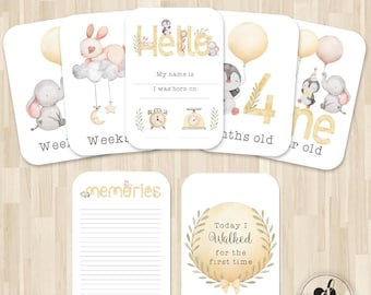 Baby Milestone Cards, Monthly Milestone cards, Baby shower gift, newborn photo props, Set of 40