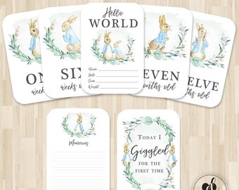 Vintage Rabbit Baby Milestone Cards, Photo Props