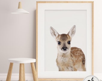 Baby Boy, Girl nursery decor, Baby Deer Print, Baby Animal art, Nursery Animals Wall Art, Woodland Animals, Nursery decor, Animal photograph