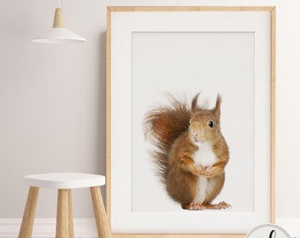 Baby Boy, Girl nursery decor, Baby Squirrel Print, Baby Animal art, Nursery Animals Wall Art, Woodland Animals, Nursery decor, photograph