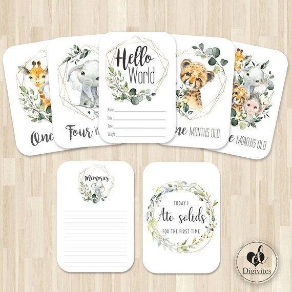 40 pregnancy Milestone//Moment Cards A6 Colourful unisex baby shower photo prop !
