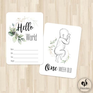 Baby Milestone Cards | 40 card set | Photo Props | Milestone cards | Baby Shower Gift | New baby gift | Baby Line Art | Eucalyptus | Modern
