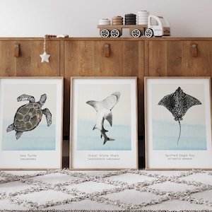 Impressions numériques d'animaux marins, estampes d'animaux marins, art mural éducatif, décoration d'intérieur côtière, art mural pour chambre de garçon, impression de requin blanc, imprimable