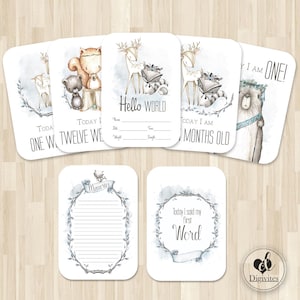 Cartes bébé étape importante | 40 cartes Jalon et Moments | Accessoires photo | Cartes jalon garçon | Cadeau baby shower | cadeau de naissance | Animaux des bois