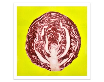 Red Cabbage four-color riso print 11"x11" risograph vegetable home decor