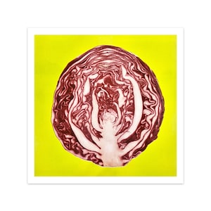 Red Cabbage four-color riso print 11&quot;x11&quot; risograph vegetable home decor