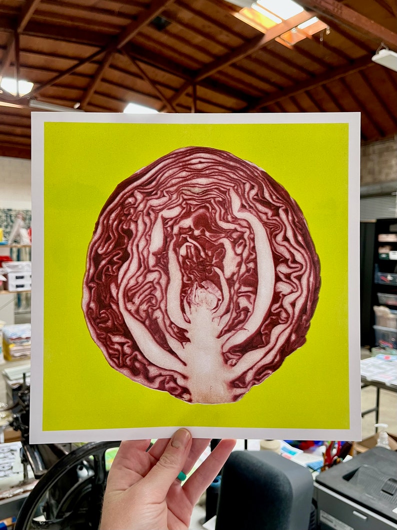 Red Cabbage four-color riso print 11x11 risograph vegetable home decor image 3