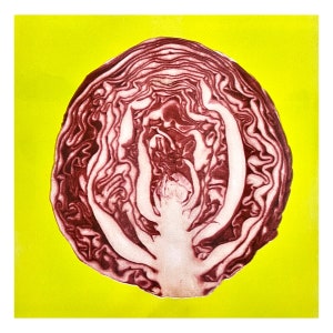 Red Cabbage four-color riso print 11x11 risograph vegetable home decor image 2