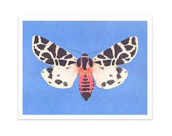 Discrete Chaperone Moth four-color riso print 8.5"x11" risograph insect bug entomology home decor