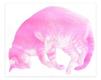 The Cat's Dream - 11" x 14" LARGE Risograph Print