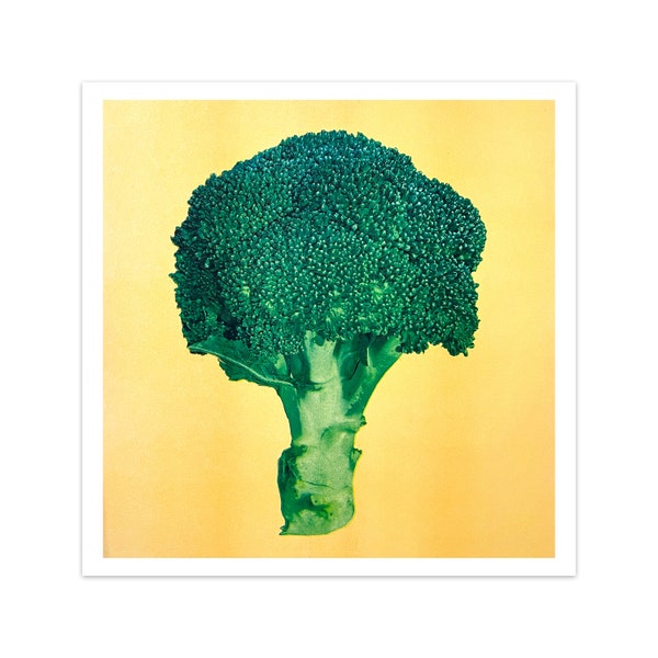 Broccoli four-color riso print 11"x11" risograph vegetable home decor