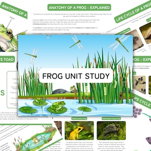 Frog Unit Study: Homeschool Nature Printable (Instant Download)