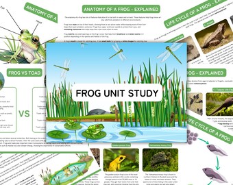 Frog Unit Study: Homeschool Nature Printable (Instant Download)