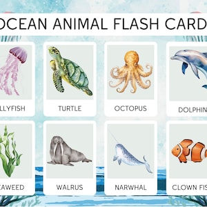 27 Ocean Animal Flashcards, Sea Life, Nature Flashcards, Montessori Flashcards, INSTANT DOWNLOAD
