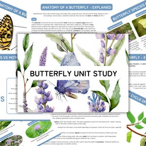 May include: Educational poster titled "Butterfly Unit Study" with illustrations of butterflies, flowers, and diagrams. The poster includes text about butterfly anatomy, species, and life cycle. The color palette includes blues, greens, and yellows.