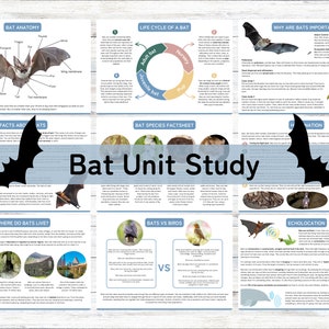 Bat Einheit Studie, Homeschool druckbare, Natur-Einheit Studie, Instant Download