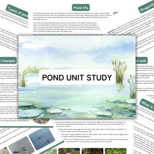May include: A watercolor illustration of a pond scene with lily pads and reeds. The text "POND UNIT STUDY" is centered on the image. Additional text includes "Types of pond", "Pond life", "Dragonfly", "Seasonal changes", and "What is a pond?"